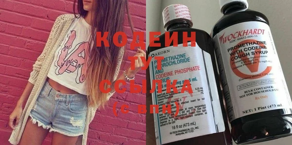 гашик Майский