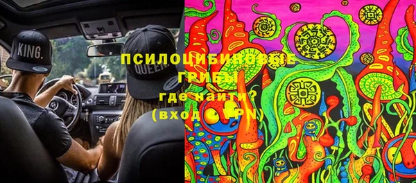 эйфоретик Магас